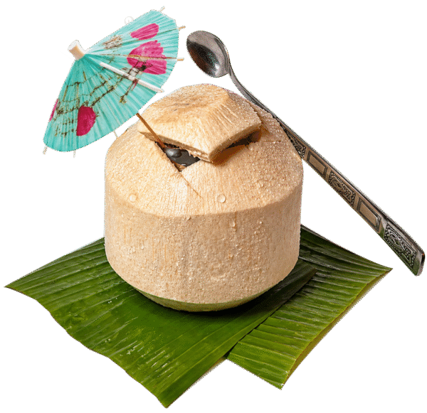 Fresh whole coconut Dubai