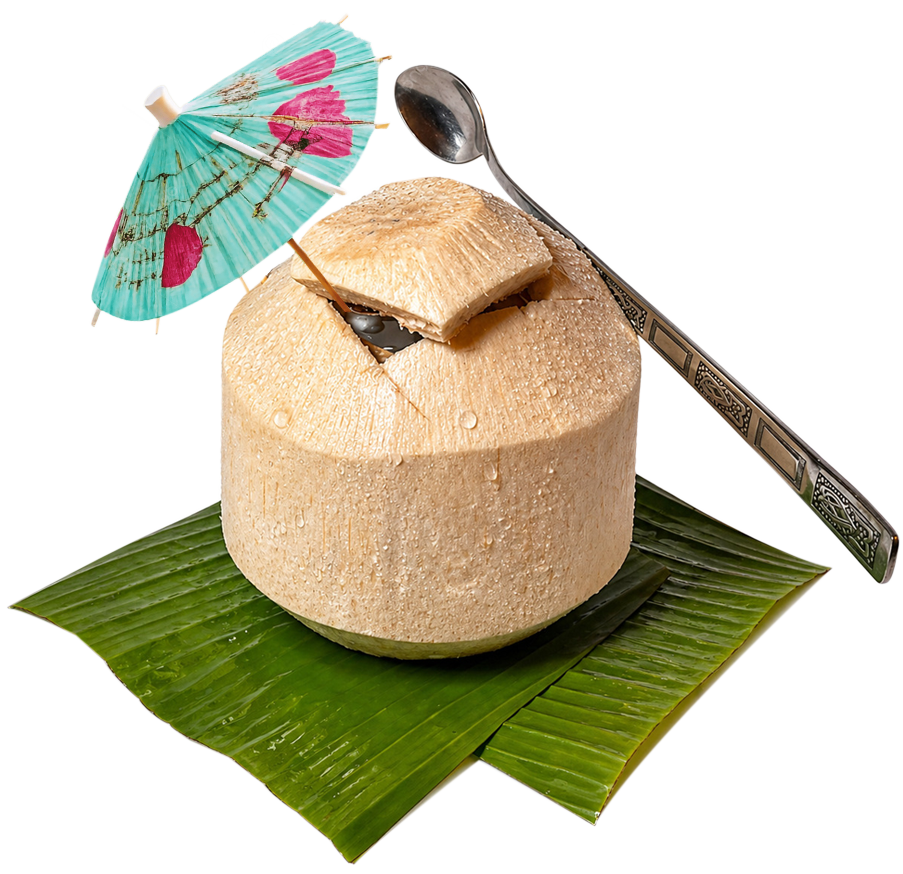 Fresh whole coconut Dubai